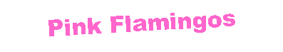 Text Box: Pink Flamingos
